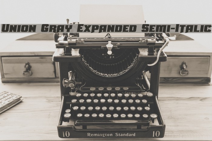 Union Gray Expanded Semi-Italic Font examples