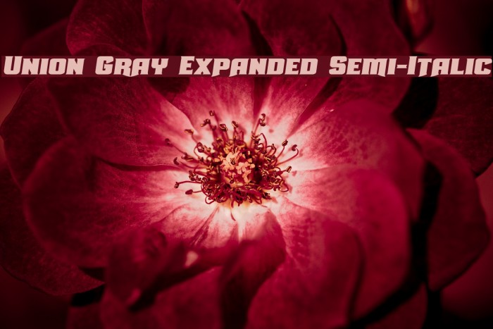 Union Gray Expanded Semi-Italic Font examples