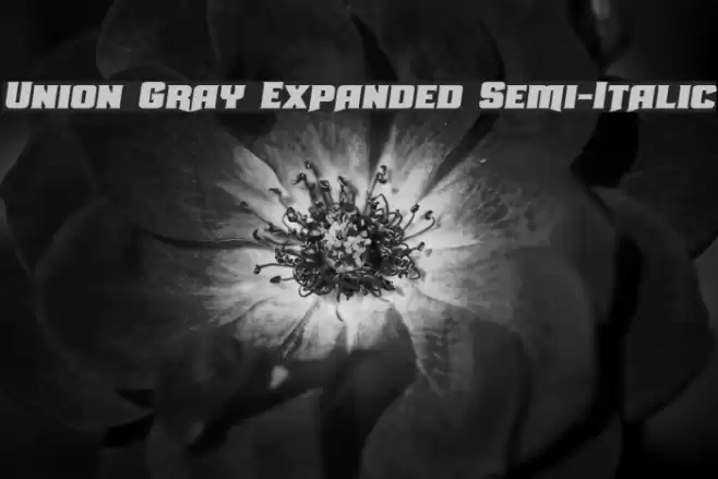 Union Gray Expanded Semi-Italic Font examples