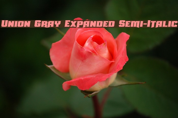 Union Gray Expanded Semi-Italic Font examples