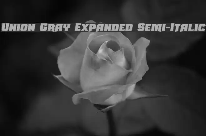 Union Gray Expanded Semi-Italic Font examples