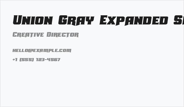 Union Gray Expanded Semi-Italic Business Card