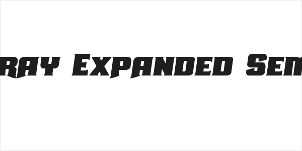 Union Gray Expanded Semi-Italic Logo