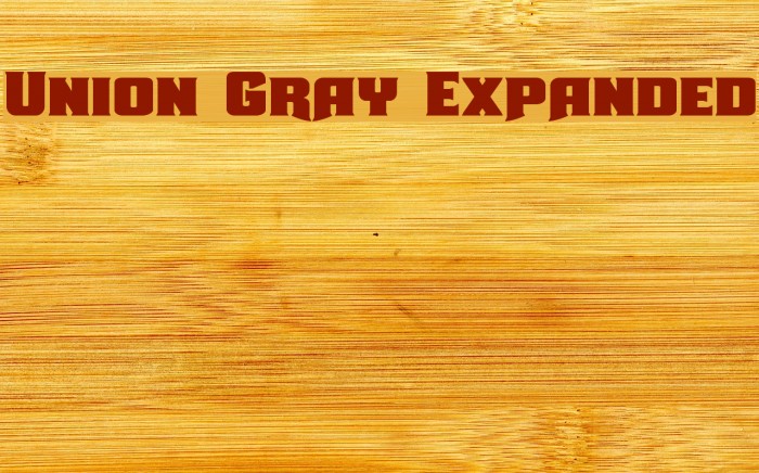 Union Gray Expanded Font examples