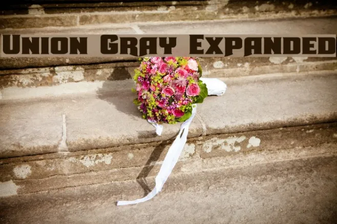 Union Gray Expanded Example 2