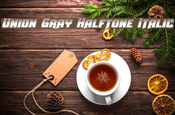 Union Gray Halftone Italic Font examples
