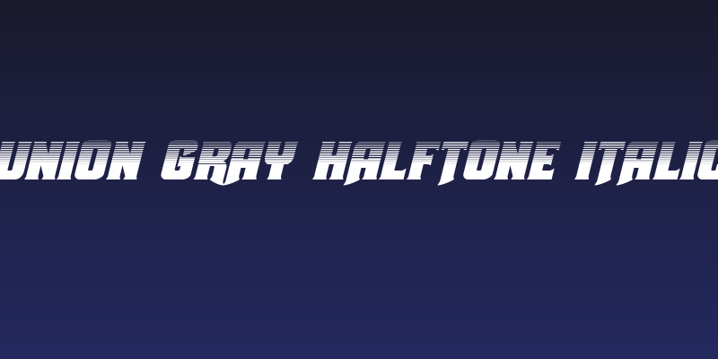 Union Gray Halftone Italic Social Header