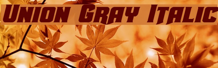 Union Gray Italic Font examples
