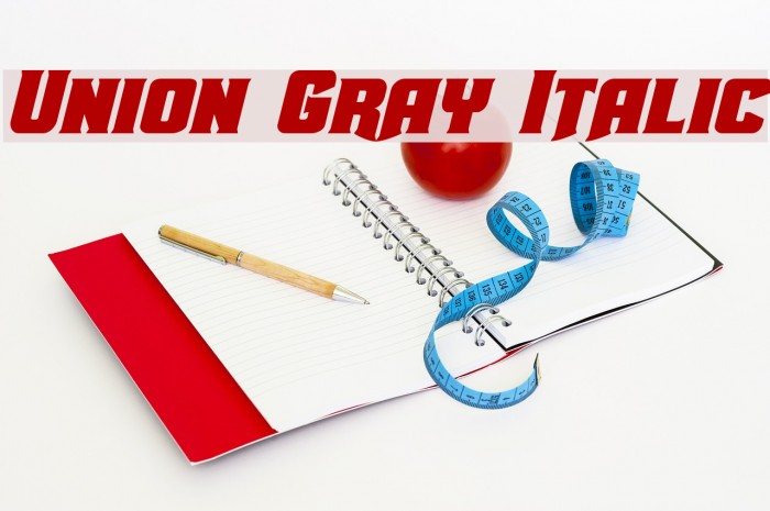 Union Gray Italic Font examples