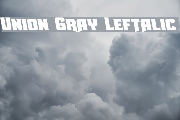 Union Gray Leftalic Font examples