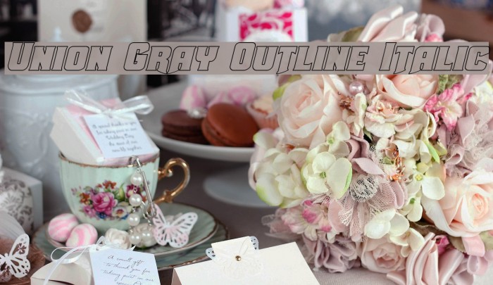 Union Gray Outline Italic Example 3