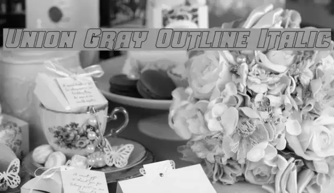 Union Gray Outline Italic  examples
