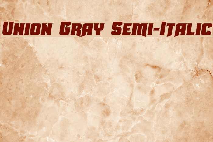 Union Gray Semi-Italic Font examples