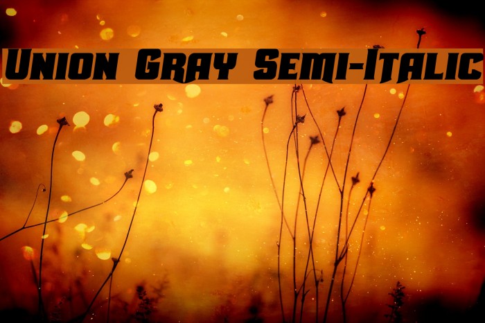 Union Gray Semi-Italic Font examples