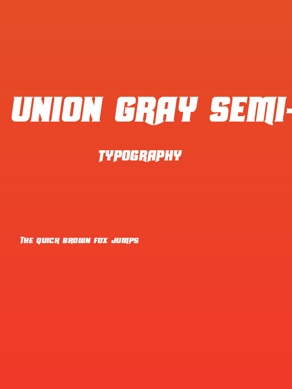 Union Gray Semi-Italic Poster