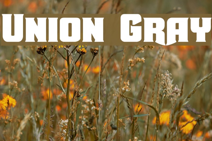 Union Gray Font examples