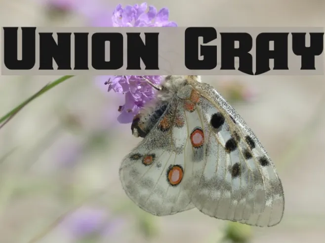 Union Gray Example 2