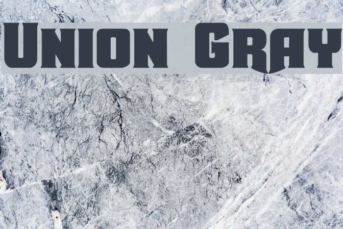 Union Gray Font examples