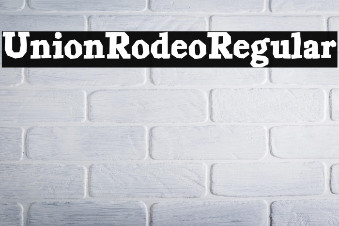 Union Rodeo Regular Example 2