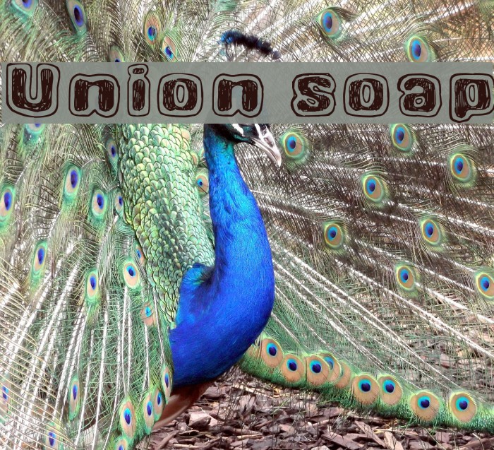 Union soap Font examples