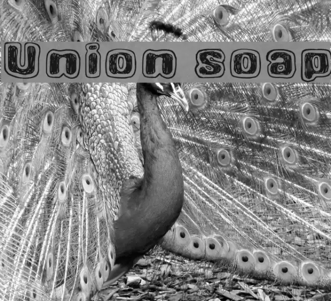 Union soap Font examples