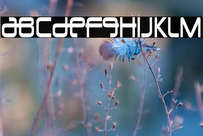 UnionCityBlue-Regular Example 3