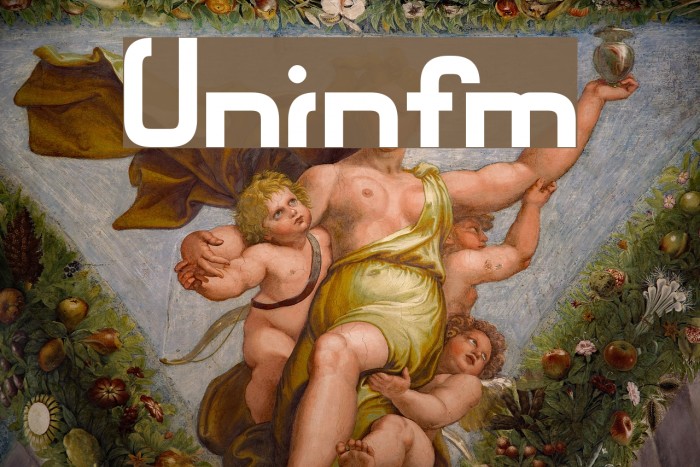 Unionform フォント examples