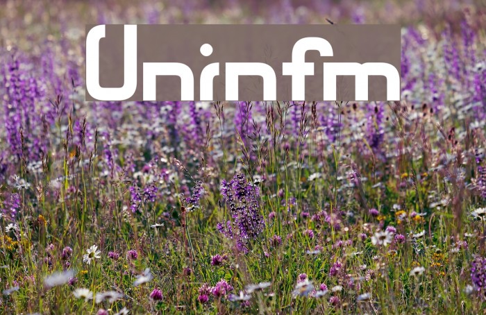 Unionform フォント examples