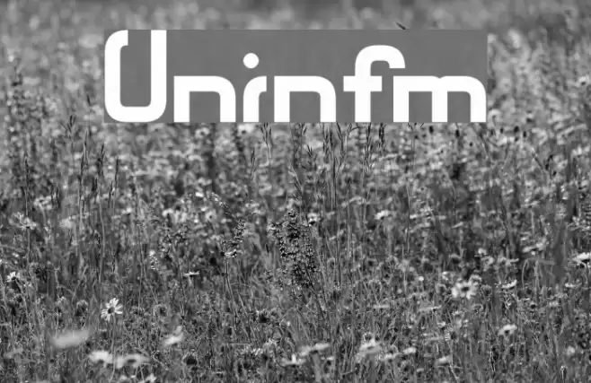 Unionform Fonte examples