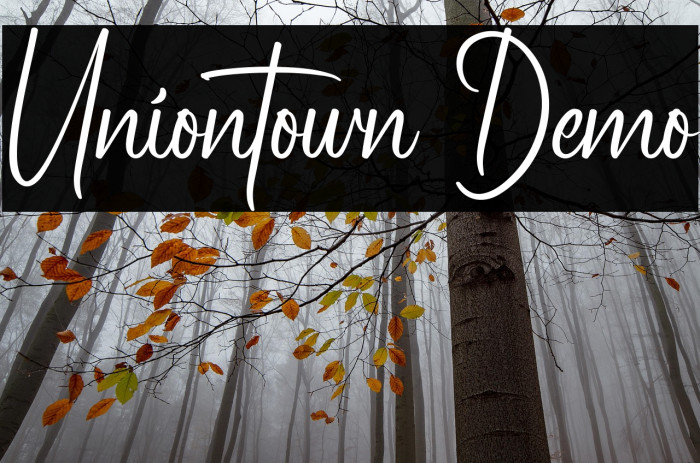 Uniontown Demo Example 2