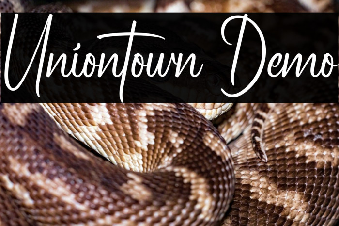 Uniontown Demo Example 3