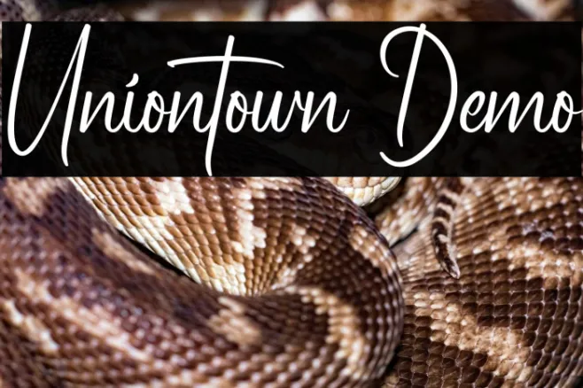 Uniontown Demo Example 3