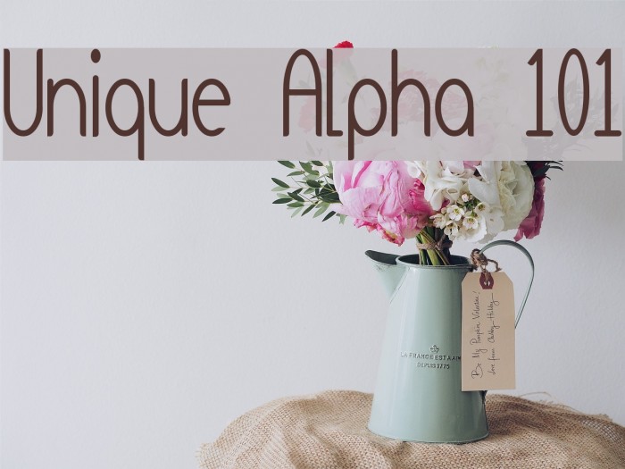 Unique Alpha 101 Font examples