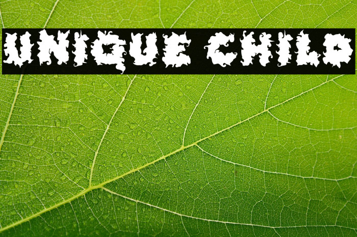 Unique Child Example 2