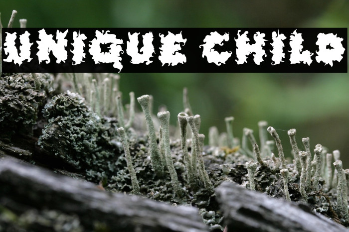 Unique Child Example 3
