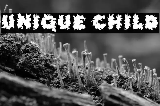 Unique Child फ़ॉन्ट examples