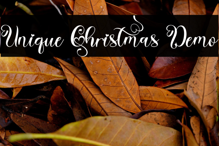 Unique Christmas Demo Example 2