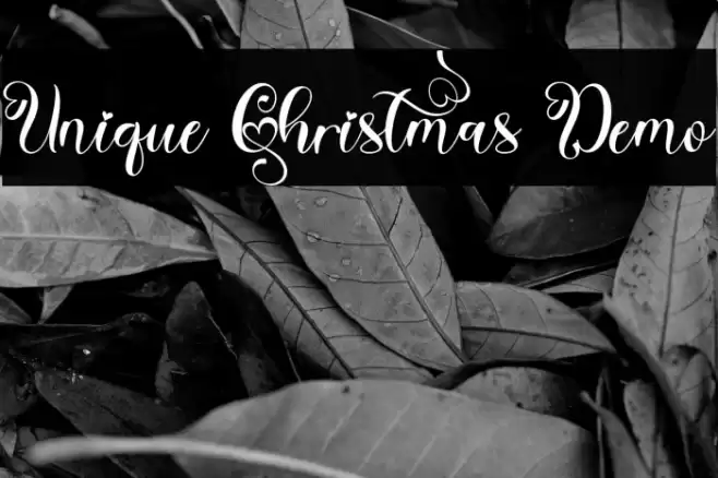 Unique Christmas Demo 字体 examples