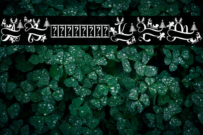 Unique Christmas Monogram Demo Example 3