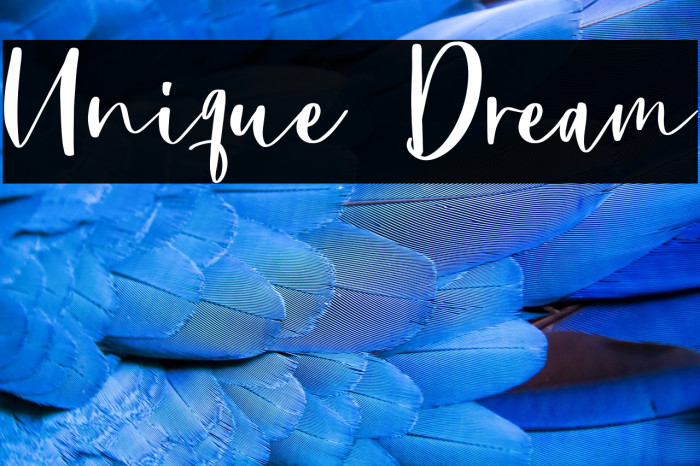 Unique Dream Example 2