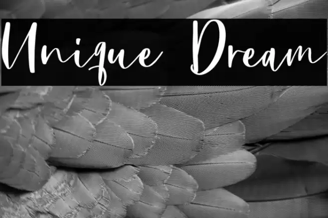 Unique Dream Font examples