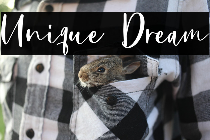 Unique Dream Example 3