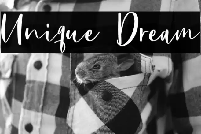 Unique Dream Font examples