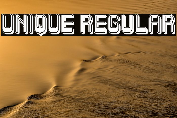 Unique Regular Example 2