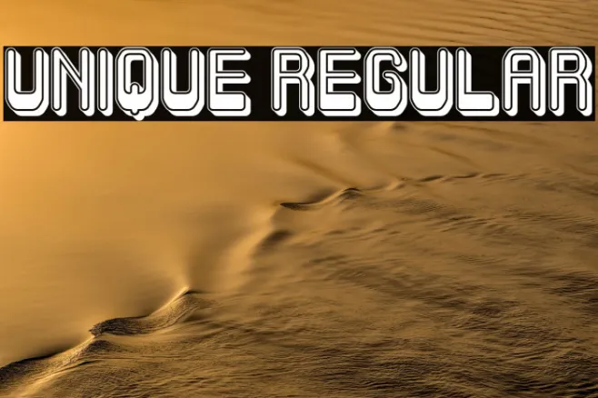 Unique Regular Example 2
