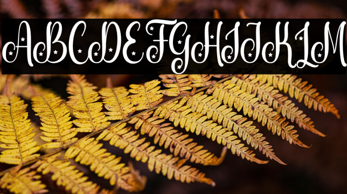 Unique unicorn Script Example 1