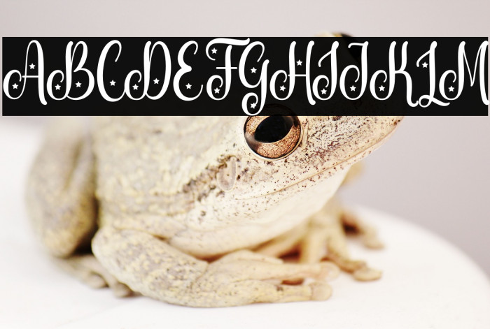 Unique unicorn Script Example 3