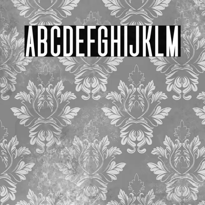 Uniser Bold Font examples