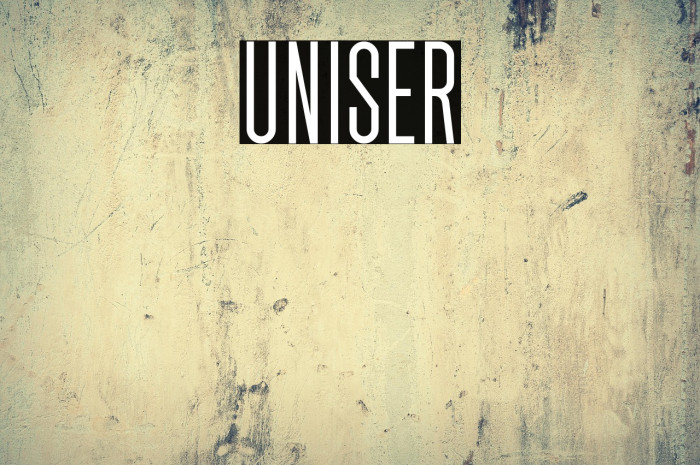 Uniser Example 2