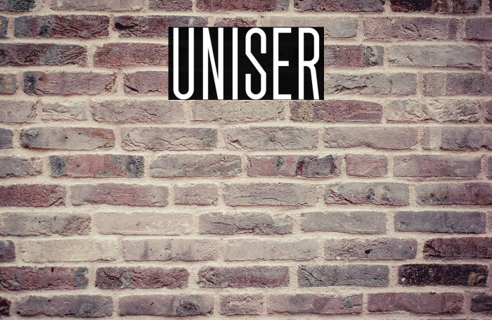 Uniser Example 3